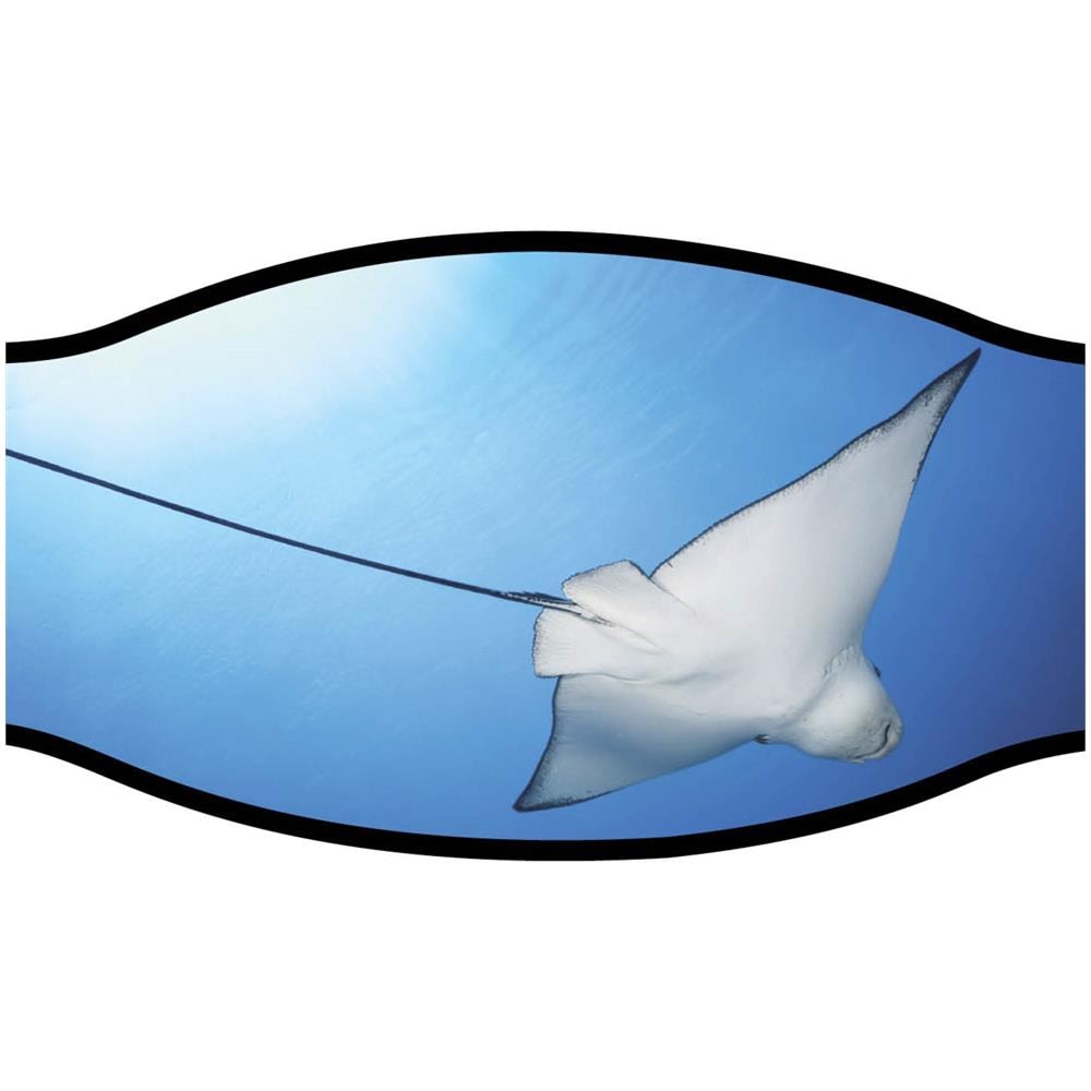 Cinturino Maschera Manta Nero / azzurro Doppio Foglio - Foto 2