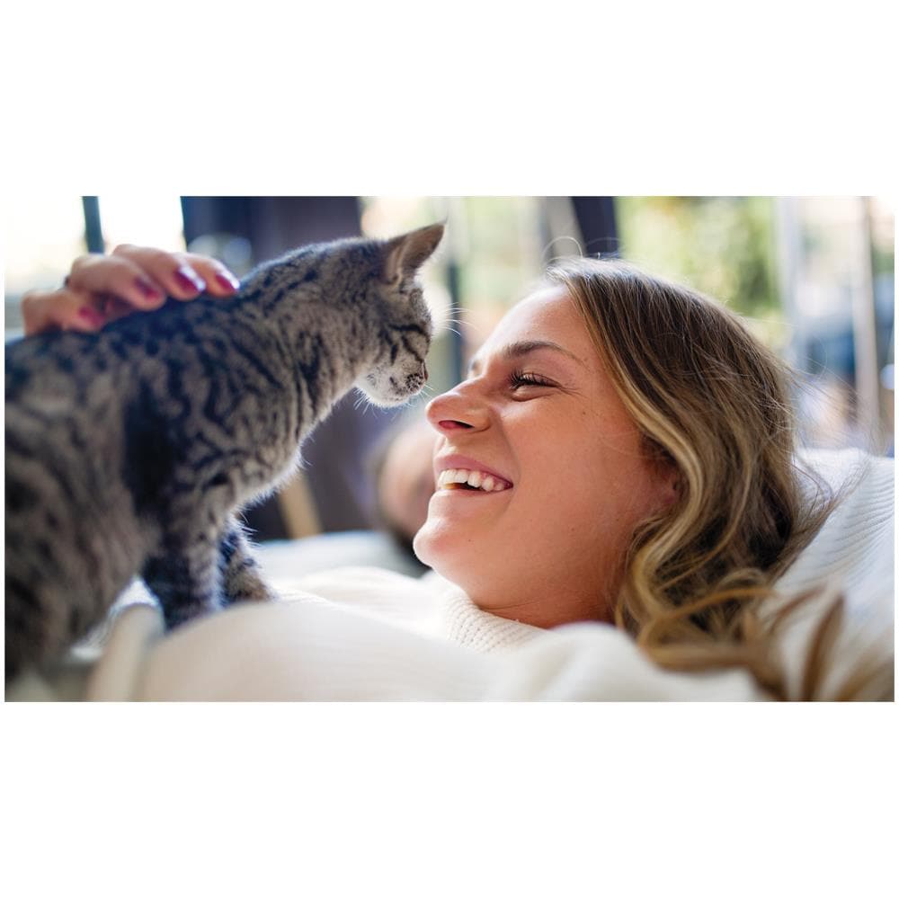 5000 series Distributore di cibo smart con telecamera per animali domestici serie PAW5320/02 - Foto 19