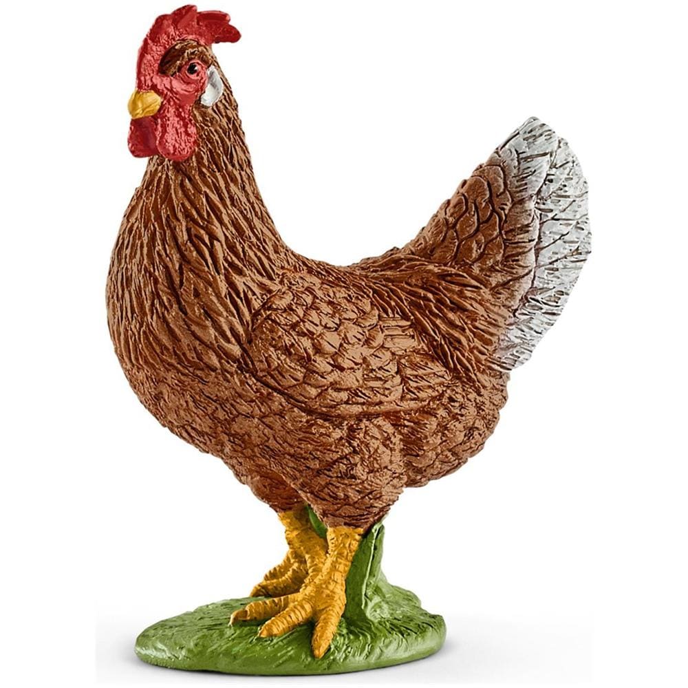 13829 Gallina - Foto 1