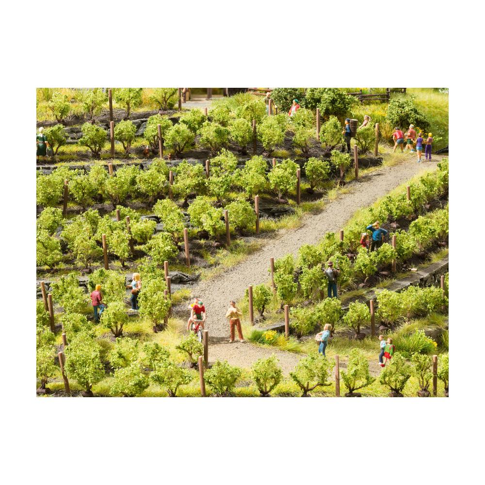 Vigneto con 24 Viti da 22 mm - Foto 3