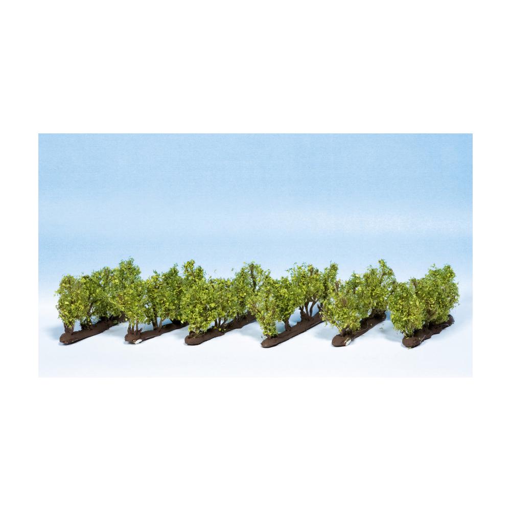 Vigneto con 24 Viti da 22 mm - Foto 2