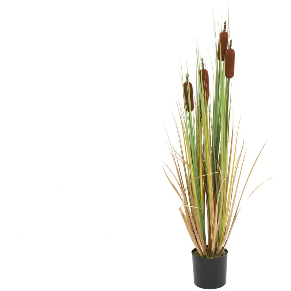 Rohrkolben Pianta Artificiale 150cm - Foto 1