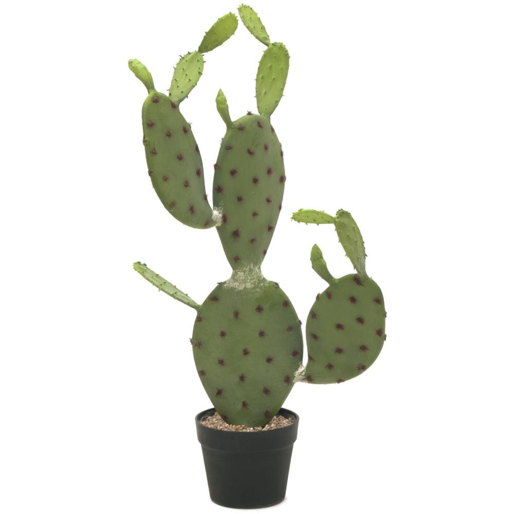 Cactus Nopal Artificiale Verde 75cm - Foto 1