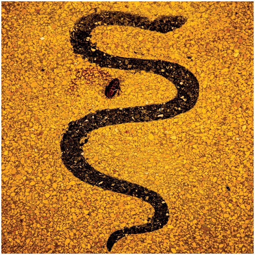 Soror Dolorosa - Apollo (4 Cd)  - Foto 1