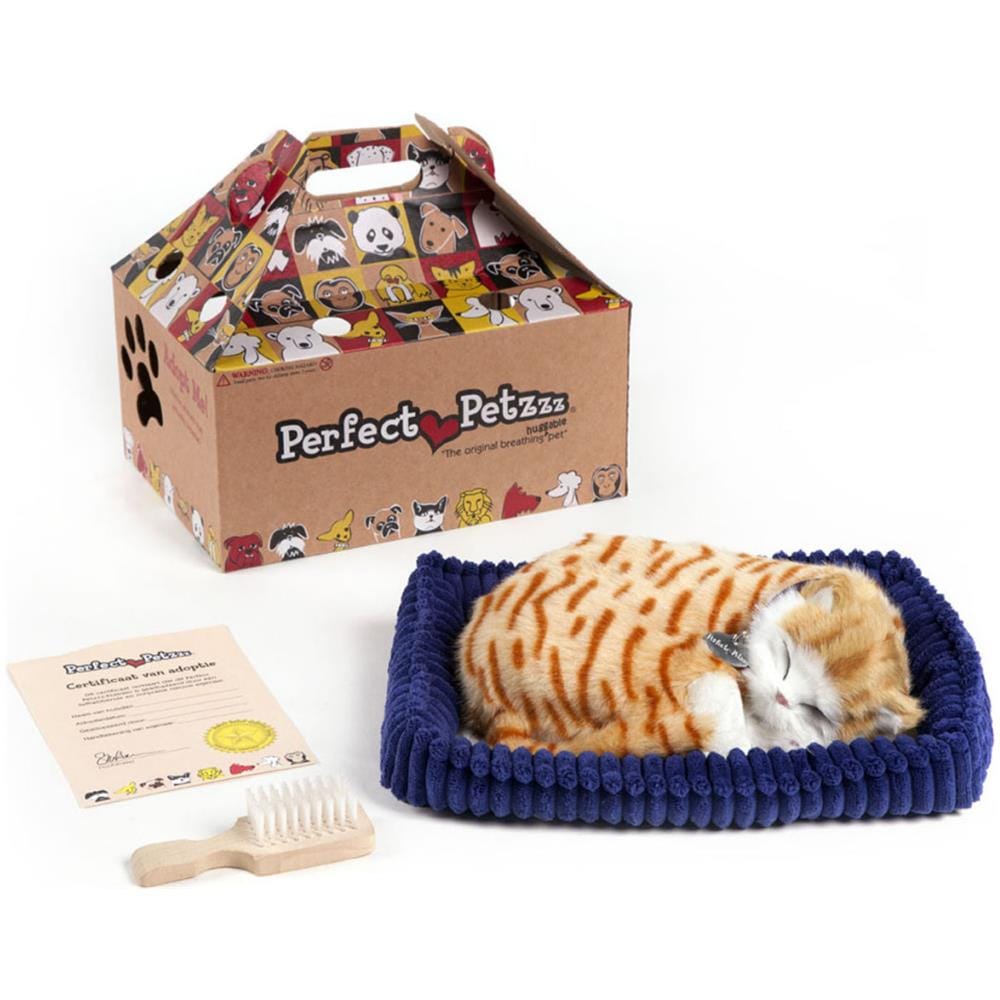 Tabby Arancione Chiaro 92547 - Foto 2