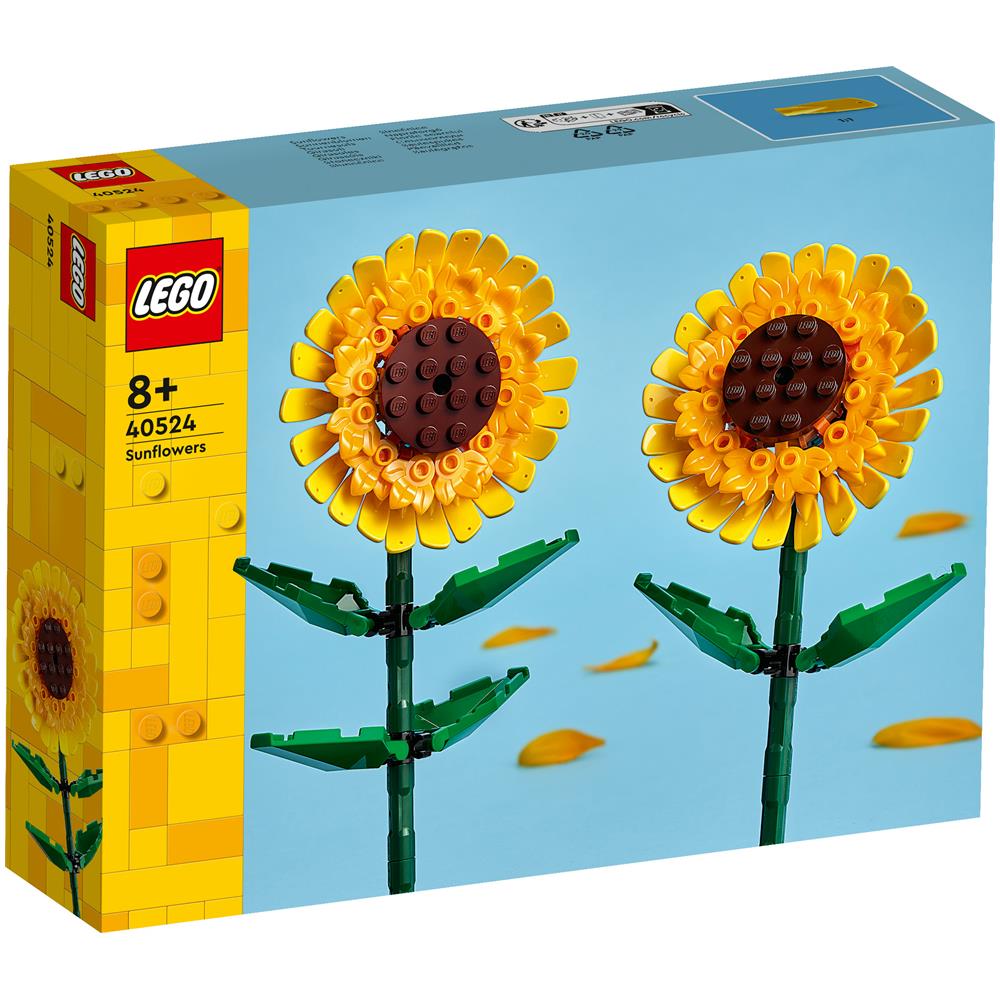 40524 Girasoli - Foto 1