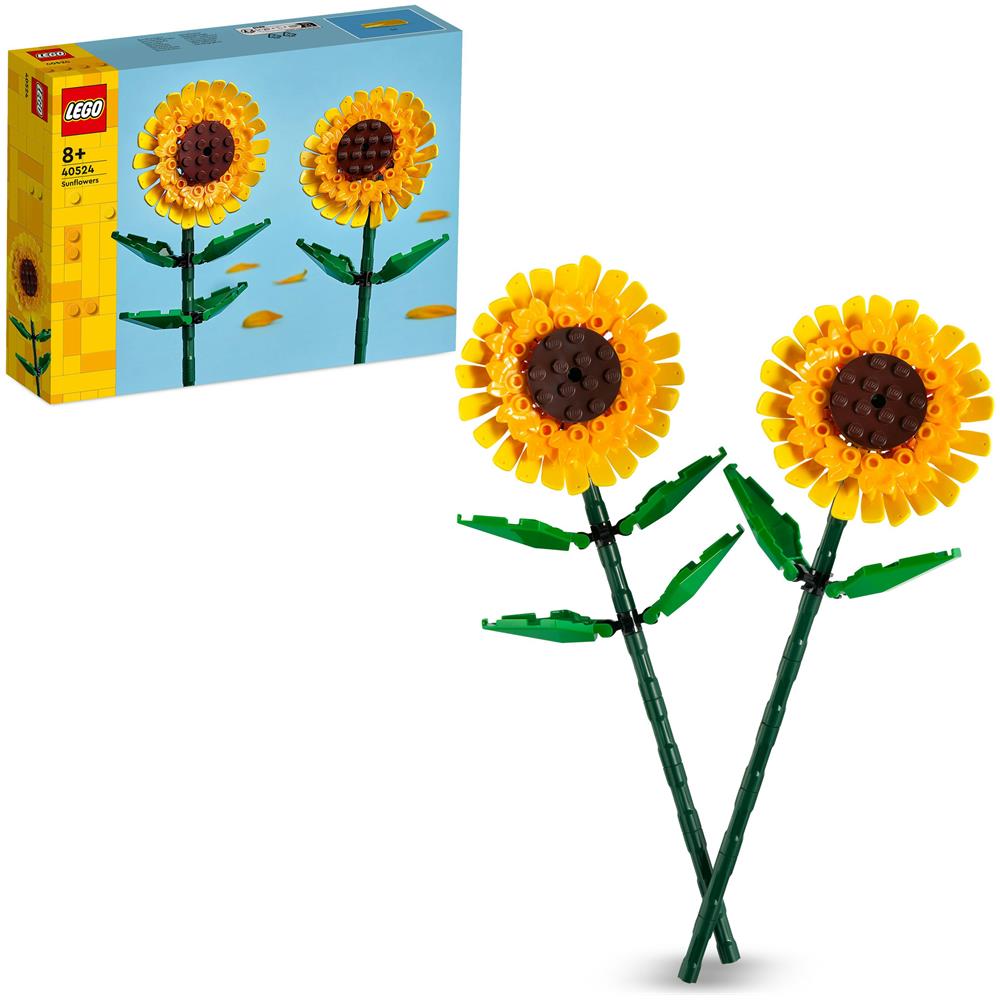 40524 Girasoli - Foto 2