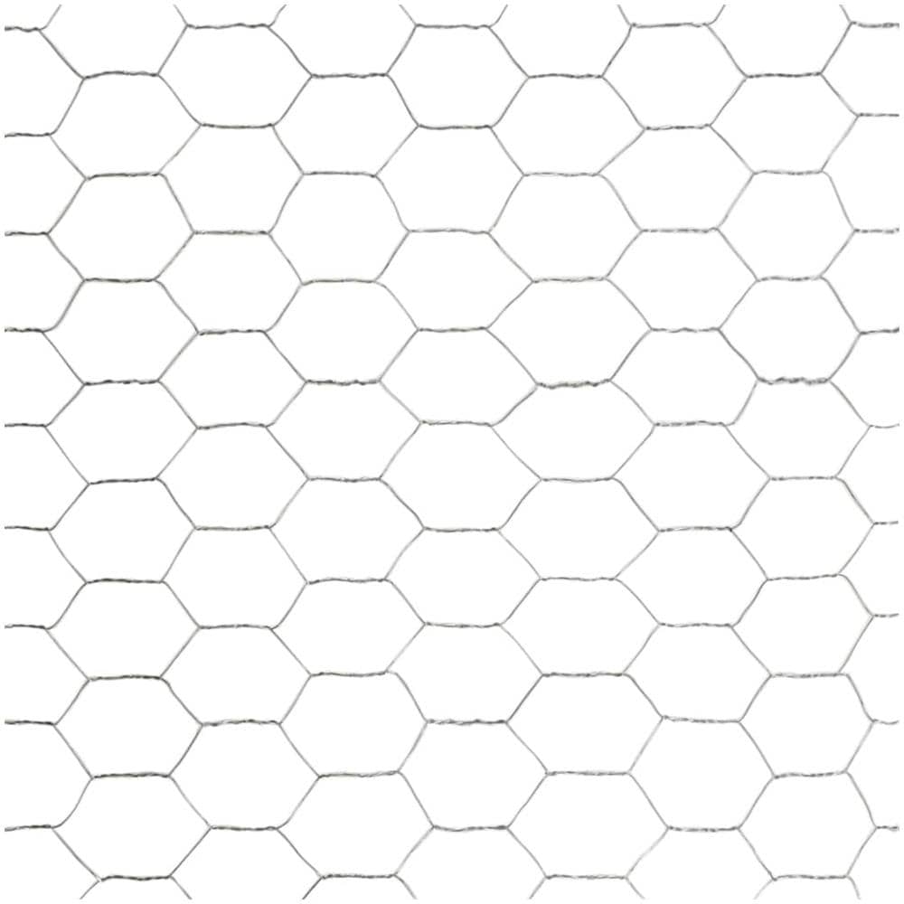 Rete Metallica Acciaio Zincato 25x1,5 M Trama Esagonale Argento - Foto 4