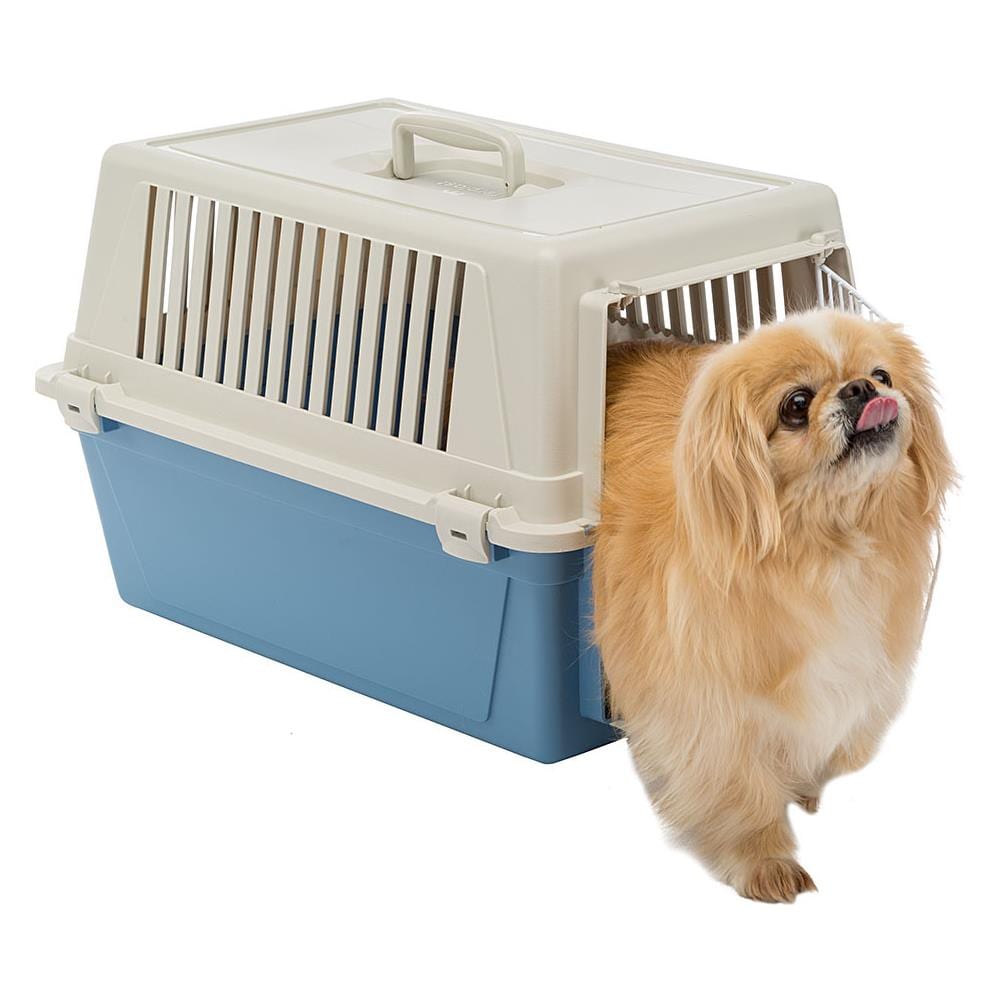 Trasportino Rigido Per Cani Piccola Taglia E Gatti Atlas 30 El, Plastica Robusta, Porta In Acciaio Plasticato, Griglie Per L'aerazione - Foto 5