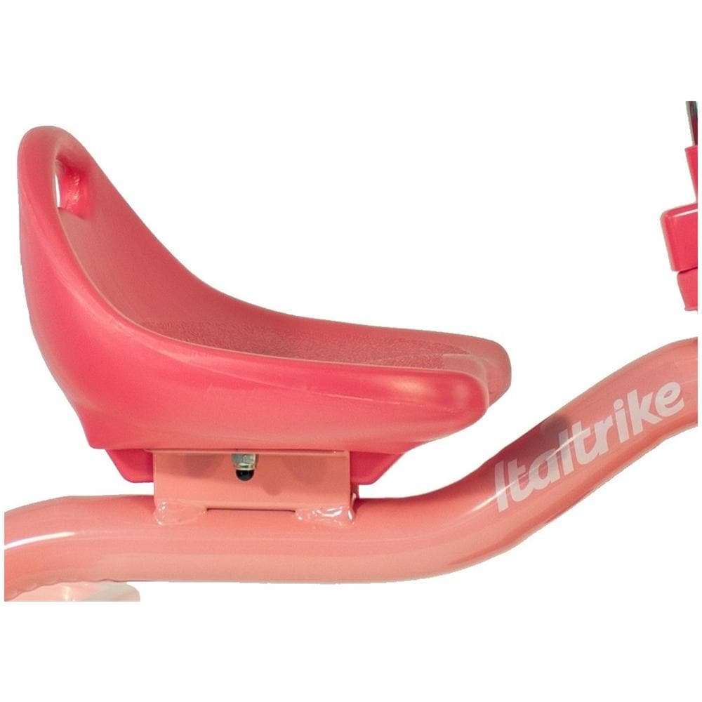 Triciclo Transporter Rose Garden con Ruota 10" 1021TRA992680 - Foto 4