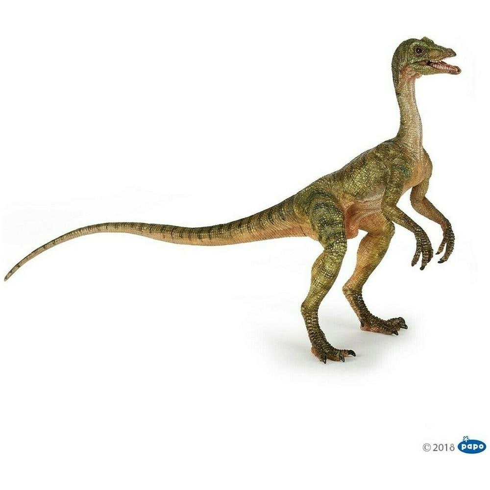 Compsognathus - Foto 2