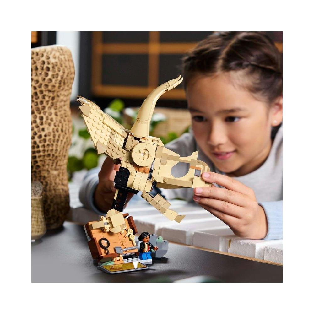 Fossili di dinosauro: cranio di Triceratopo - Foto 2