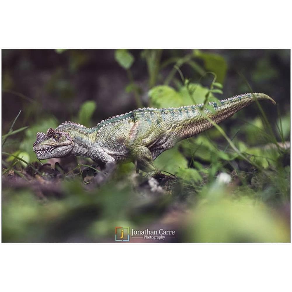 Ceratosaurus - Foto 2