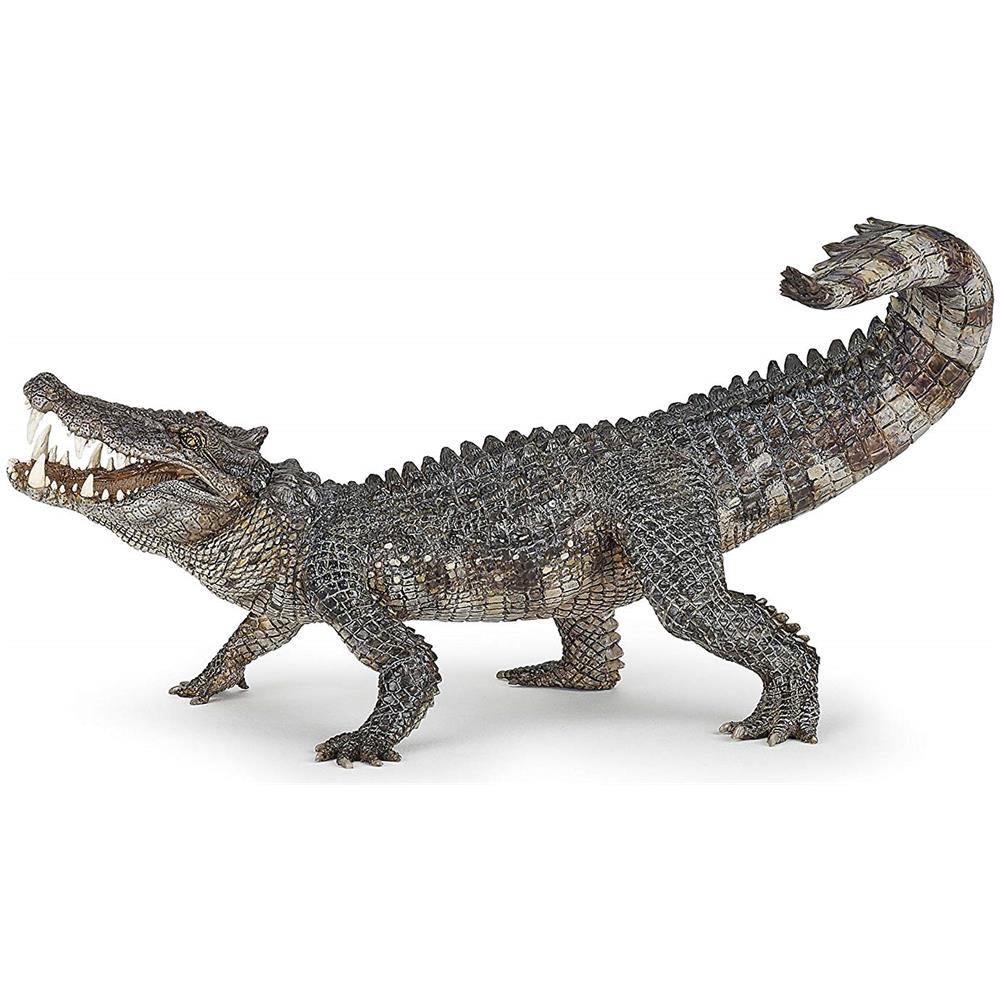 Kaprosuchus - Foto 1