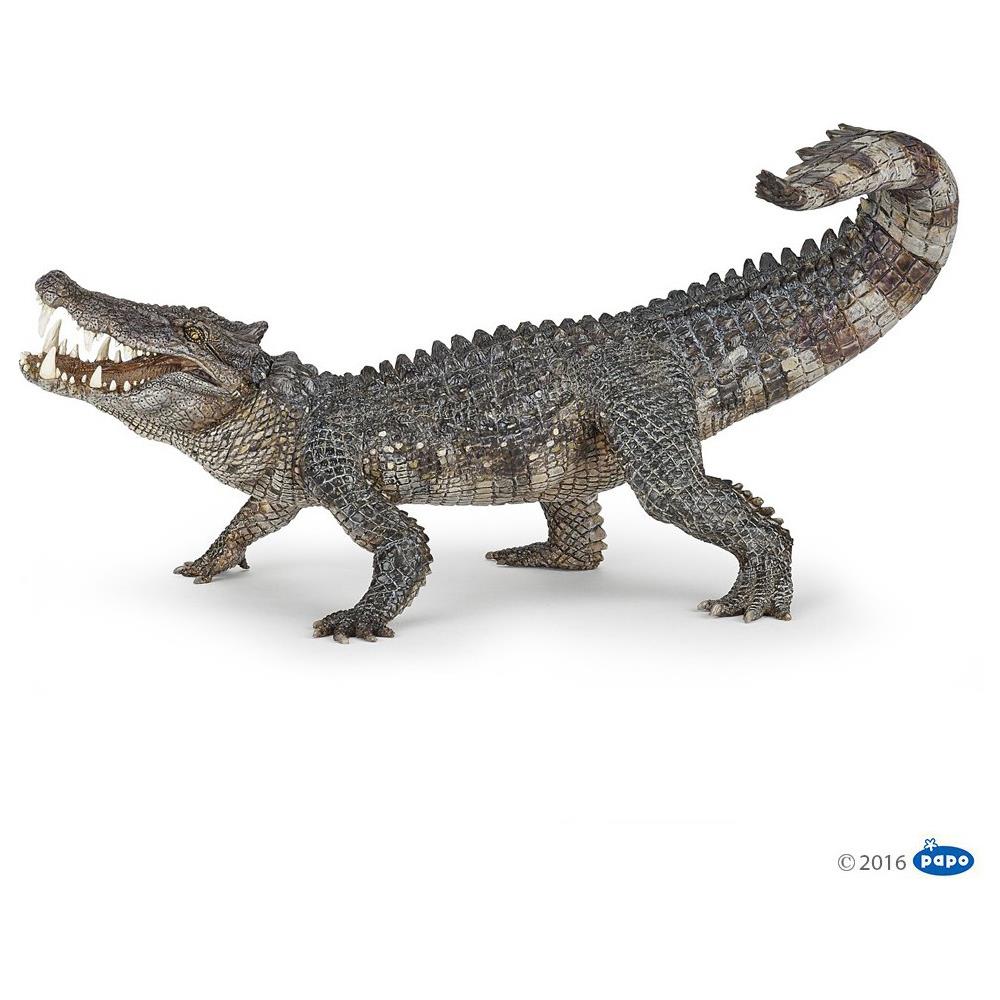 Kaprosuchus - Foto 2