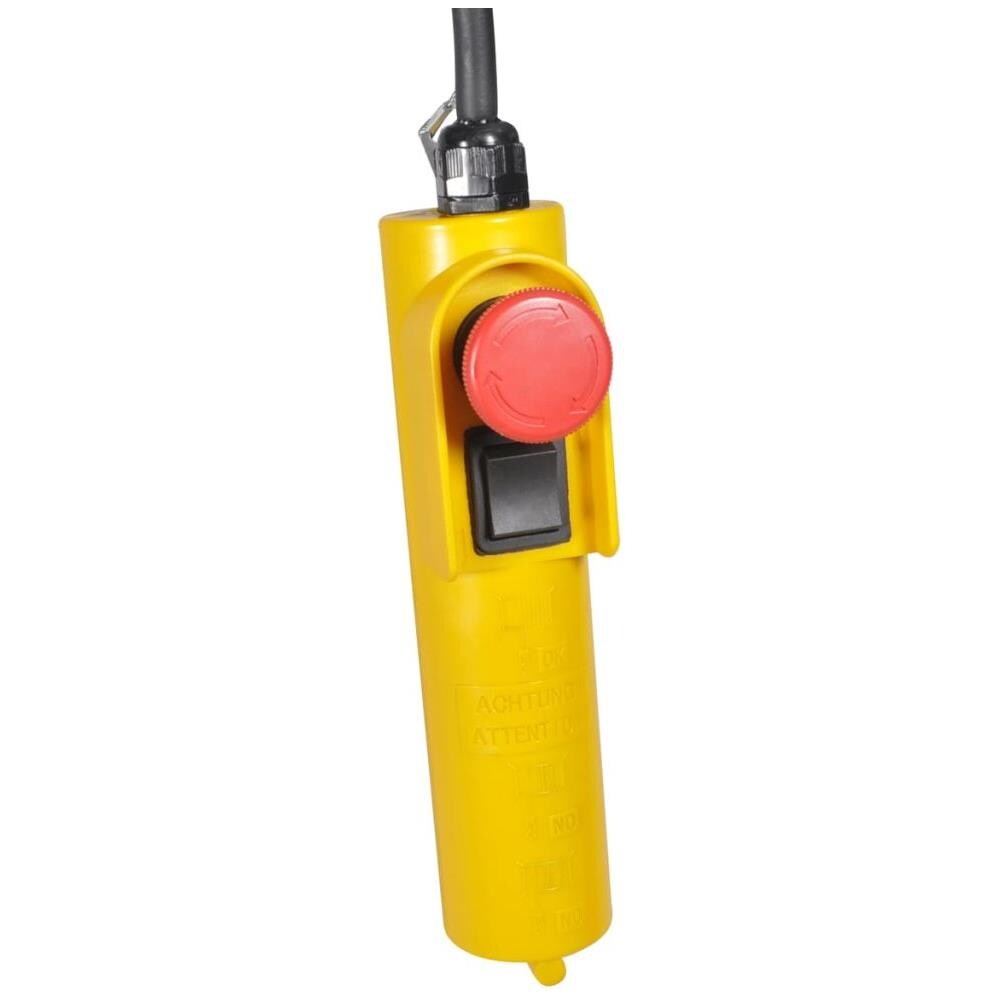 Sollevatore Elettrico 1000 W 300/600 Kg - Foto 12