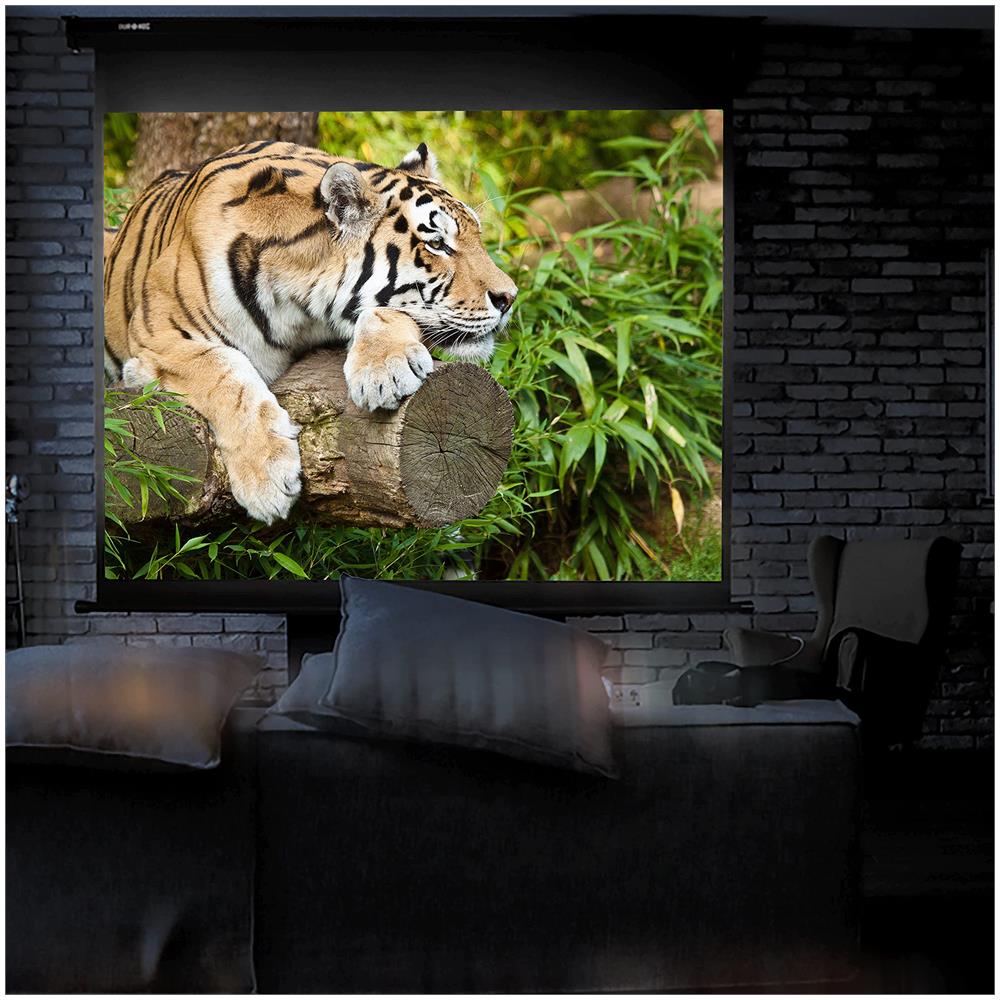 Mps60 / 43 Schermo Di Proiezione 60” Formato 4:3 / 122 X 91 Cm Telo Proiettore Telo Da Proiezione A Sviluppo Manuale - Fissaggio A Muro O A Soffitto - Full Hd 3d 4k - Home Cinema Home Theater Ufficio - Foto 6
