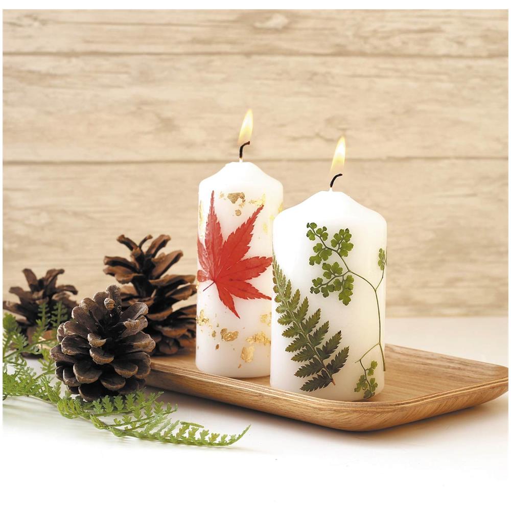 15 Fiori Pressati - Foresta 1 - Foto 1