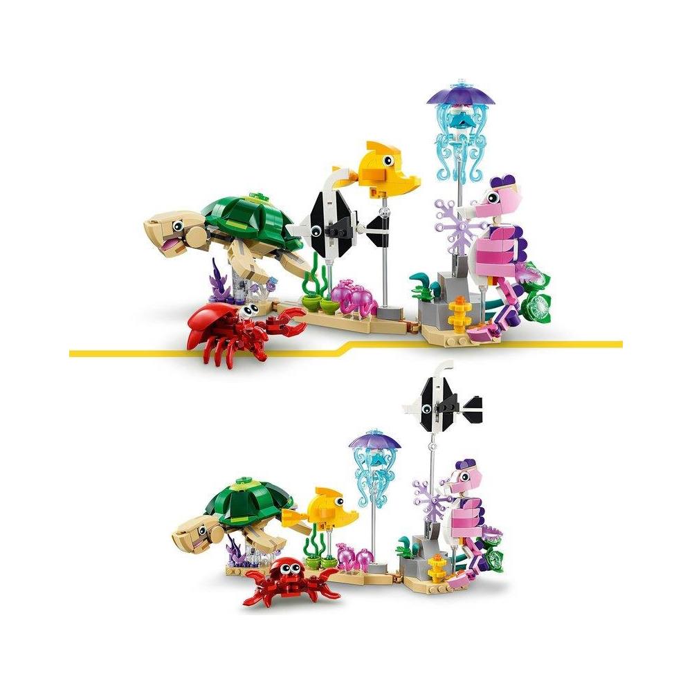 Animali marini - Foto 4