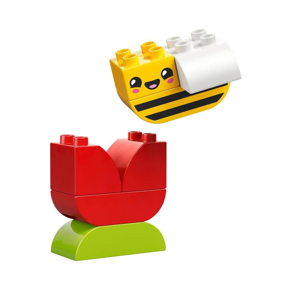 Il mio primo fiore con ape - Foto 2