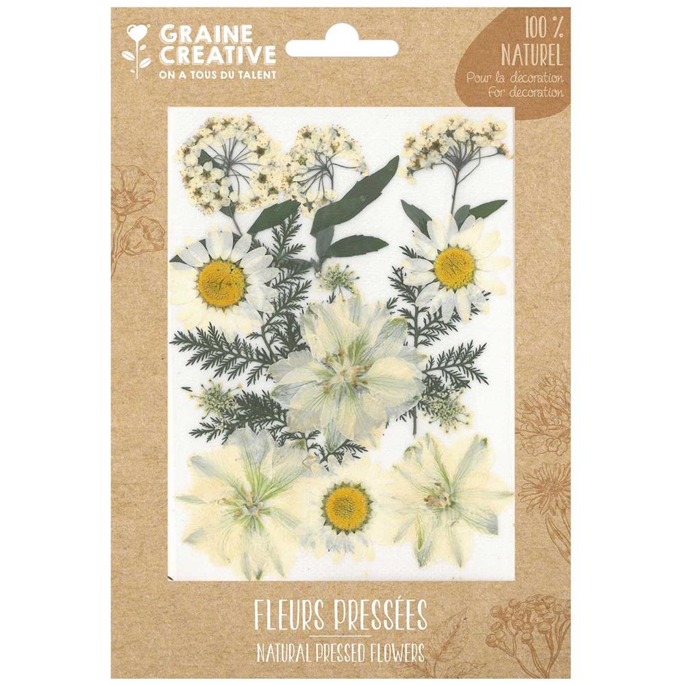 15 Fiori Pressati - Prato Bianco - Foto 1