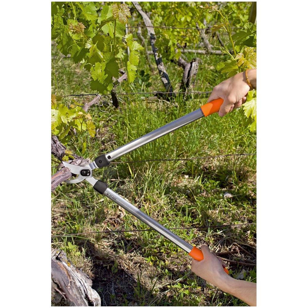 Troncarami Cm 50 Lowe Prof. - Foto 4