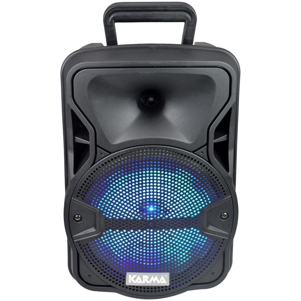 Diffusore Amplificato PSB 8 con Radiomicrofono Potenza 300 W Color Nero - Foto 1