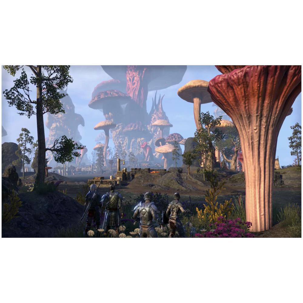 PS4 - The Elder Scrolls Online - Morrowind - Foto 2