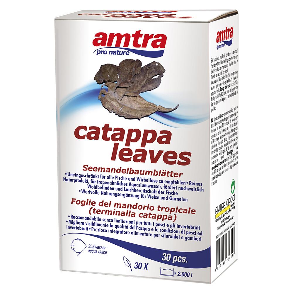 Decorativo Per Acquario Catappa Leaves - Foto 1