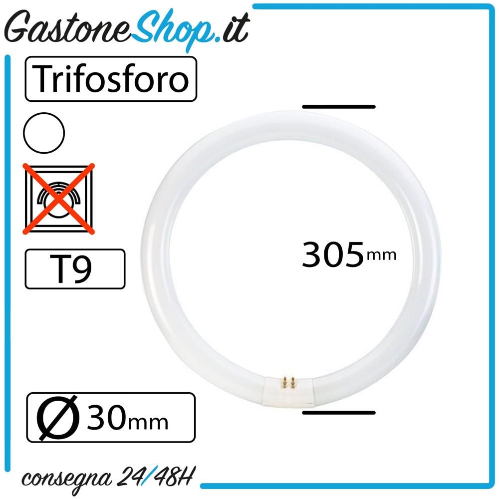 Circolare Trifosforo Neon Ø30mm - Foto 2