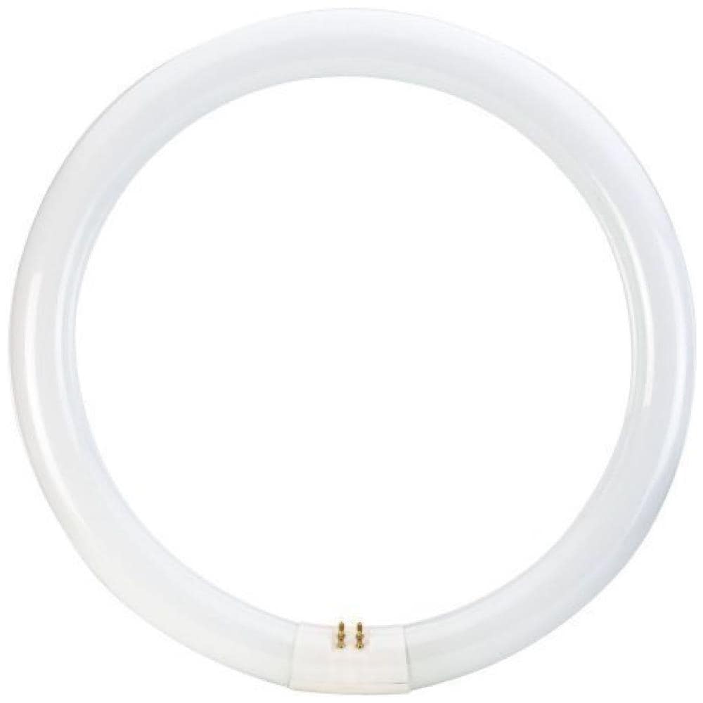 Circolare Trifosforo Neon Ø30mm - Foto 1