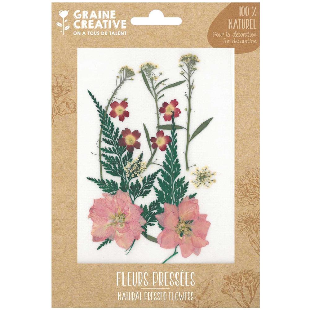 13 Fiori Pressati - Prato Rosso - Foto 1