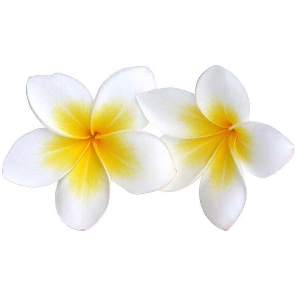 Profumo Per Sapone 108 Ml - Monoï - Foto 1