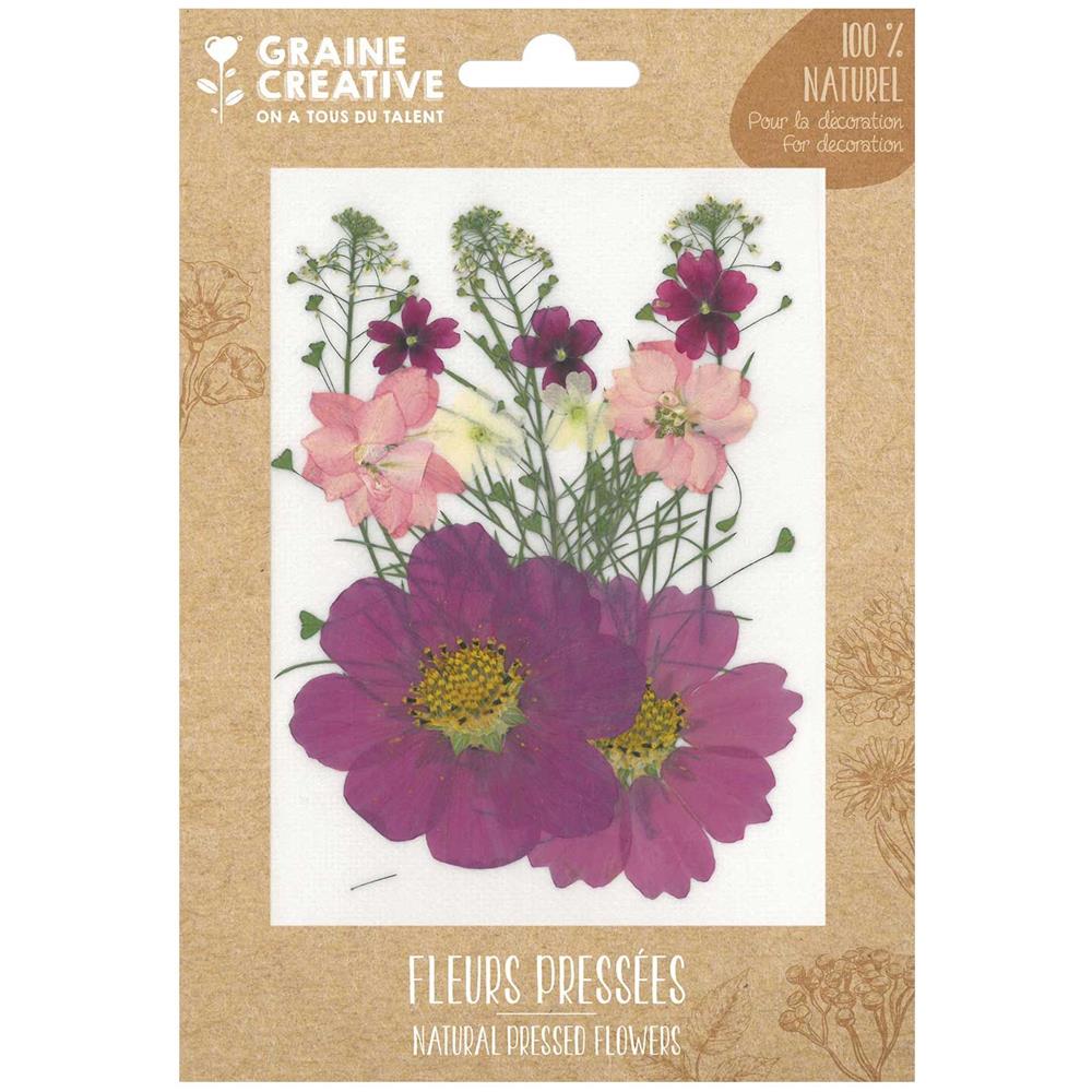 14 Fiori Pressati - Prato Viola - Foto 1