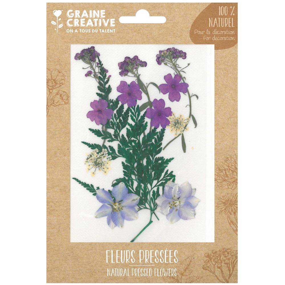 13 Fiori Pressati - Prato Viola - Foto 1