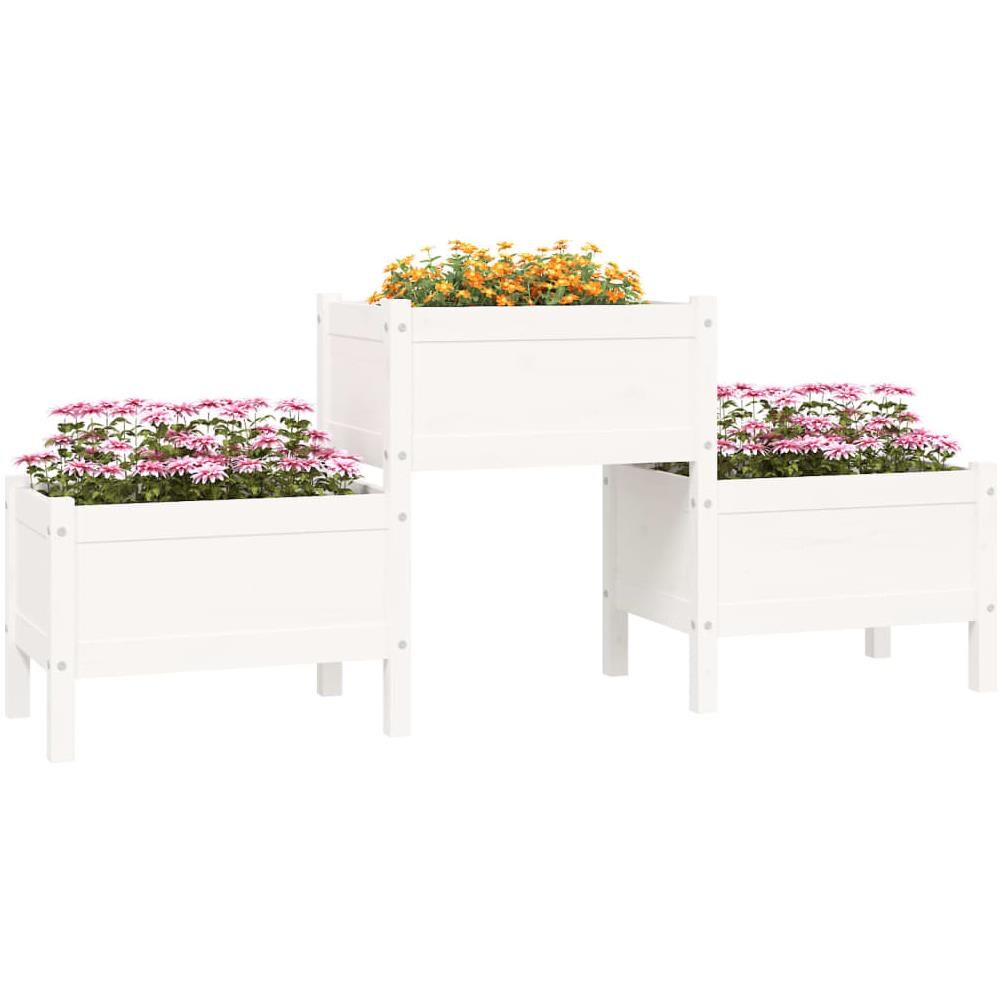 Fioriera Bianca 178,5x44x75 cm in Legno Massello di Pino - Foto 2