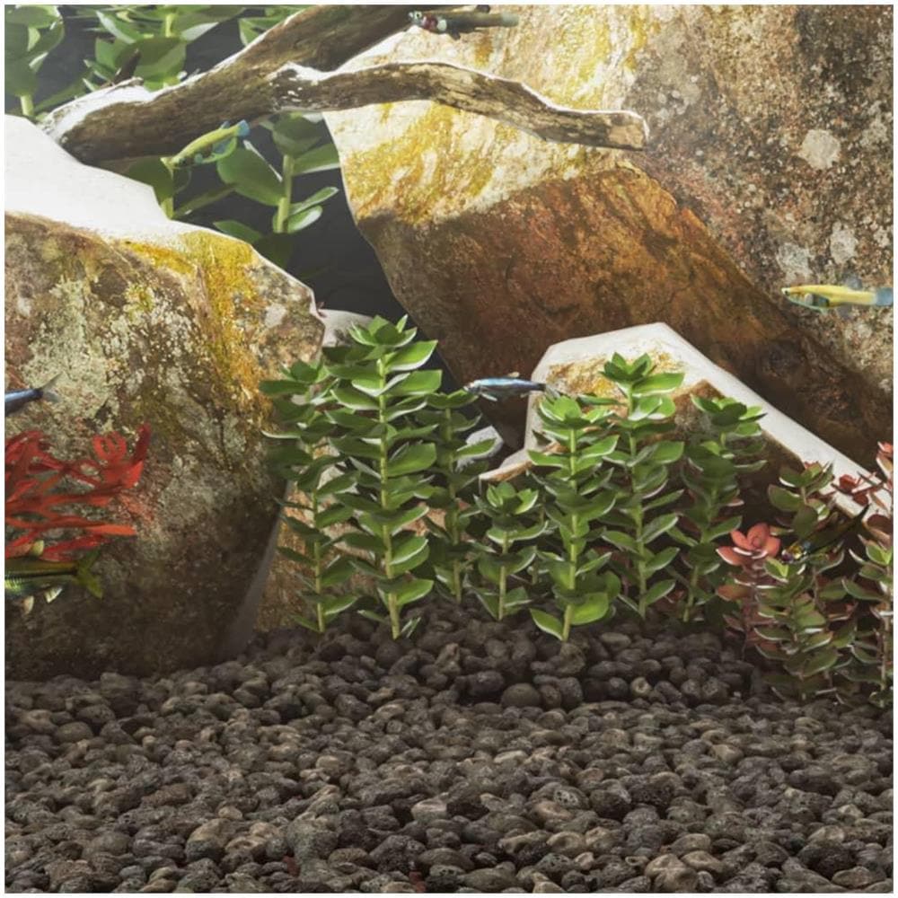 Rocce Vulcaniche 10 kg Nere 5-8 cm - Foto 2