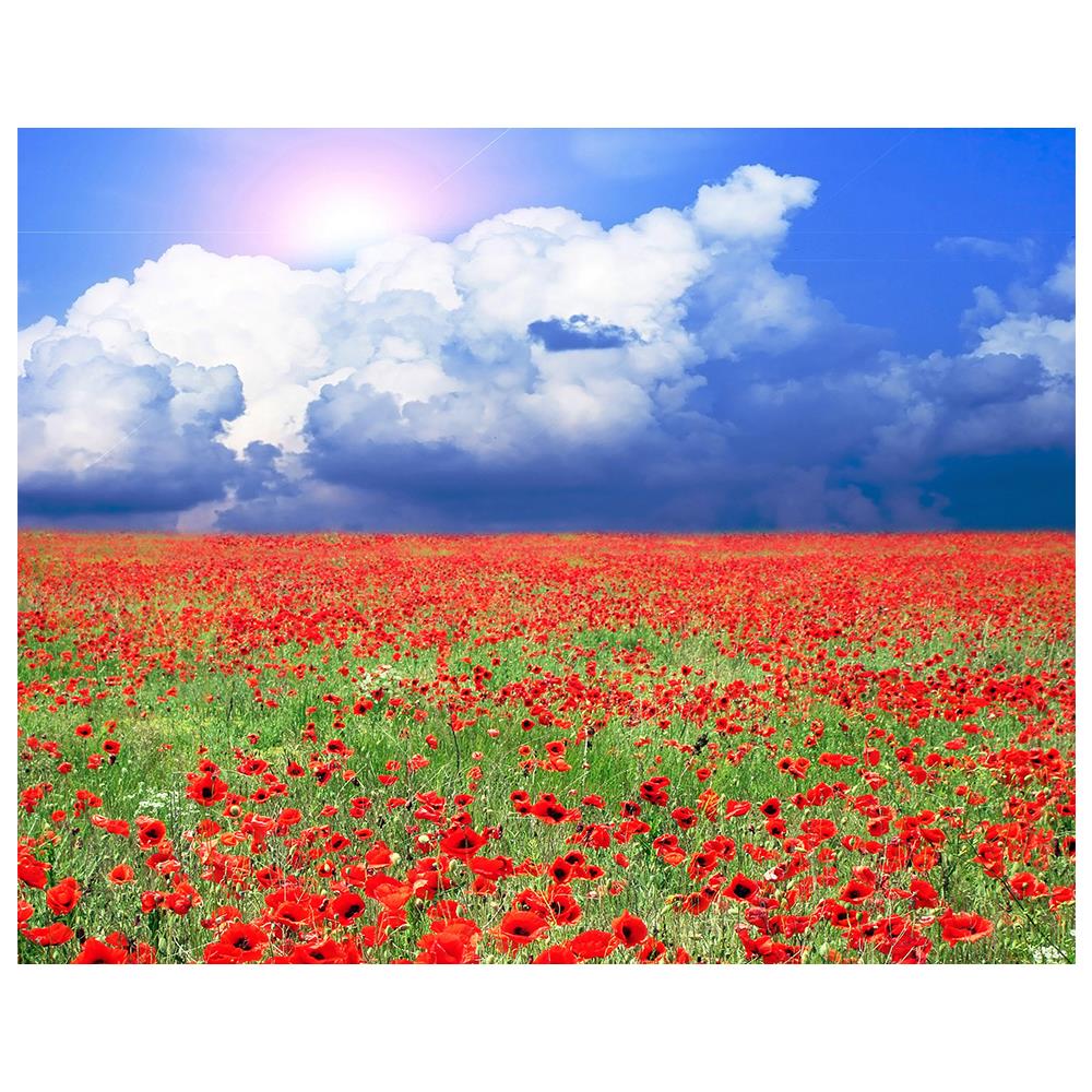 Stampa su tela - Contrasto Irrequieto - Quadro su Tela, Decorazione Parete cm. 80x100 - Foto 1