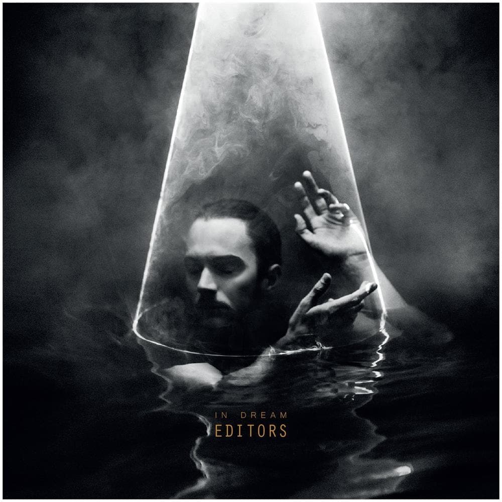 Editors - In Dream - Foto 1