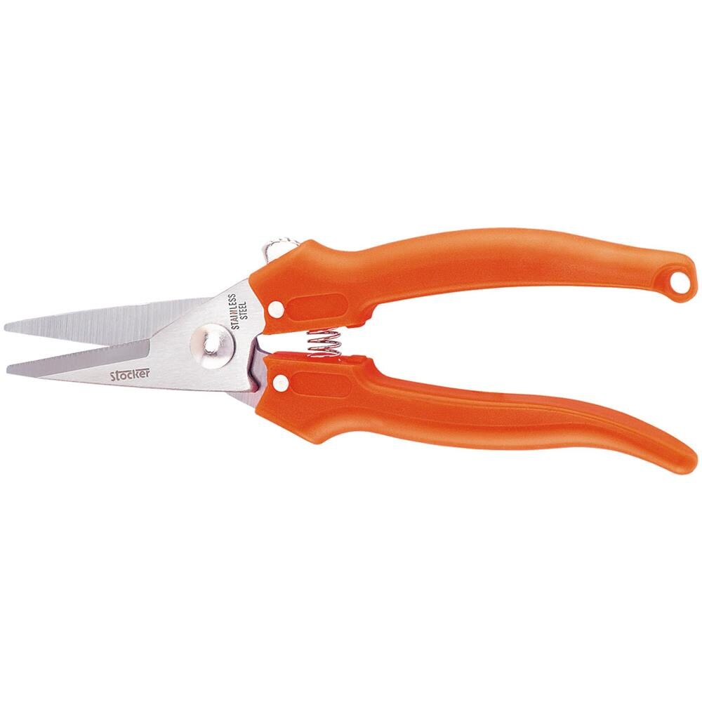 Forbice Con Lama In Acciaio Inox A Punta Pz. 12 - Foto 1