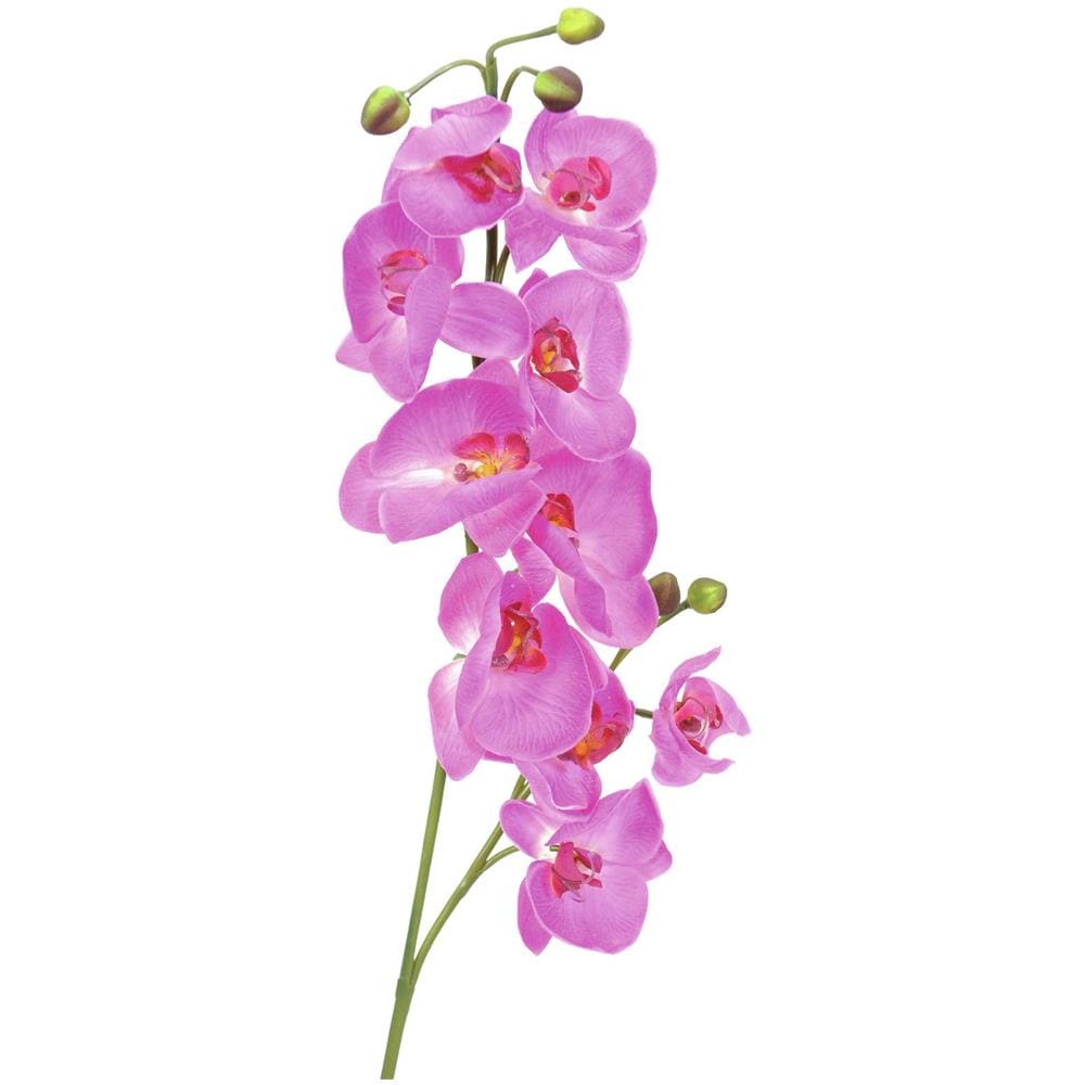 Orchidea Spray, Viola, 100cm - Foto 1