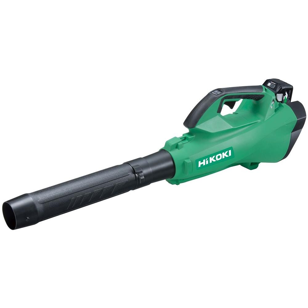 RB36DA W4Z soffiatore di foglie cordless Nero, Verde - Foto 1