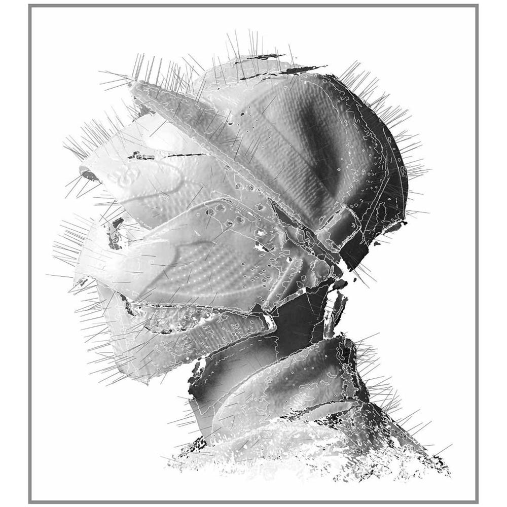 Woodkid - The Golden Age (Edizione Limitata) (2 Lp)  - Foto 1