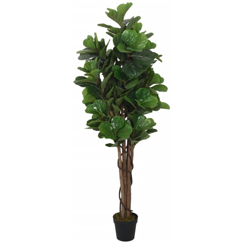 Albero Ficus Lyrata 96 Foglie 80 Cm Verde - Foto 2