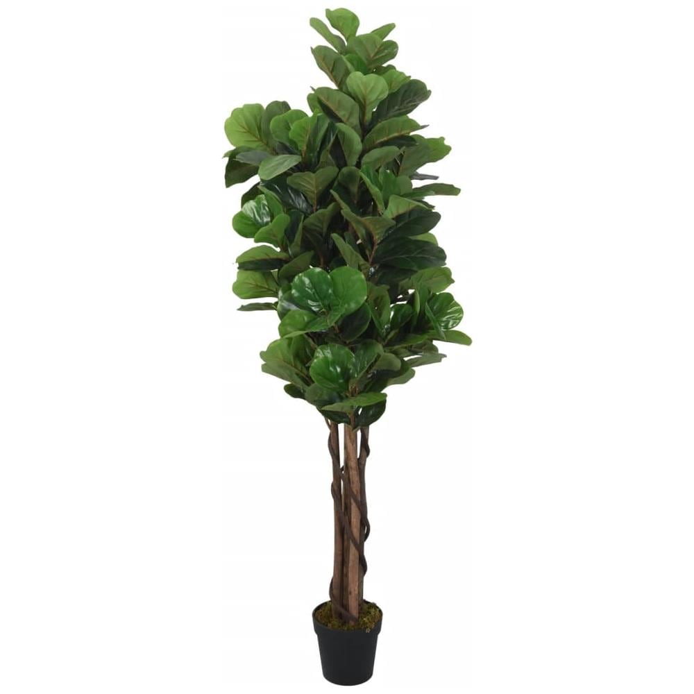 Albero Ficus Lyrata 180 Foglie 150 Cm Verde - Foto 1