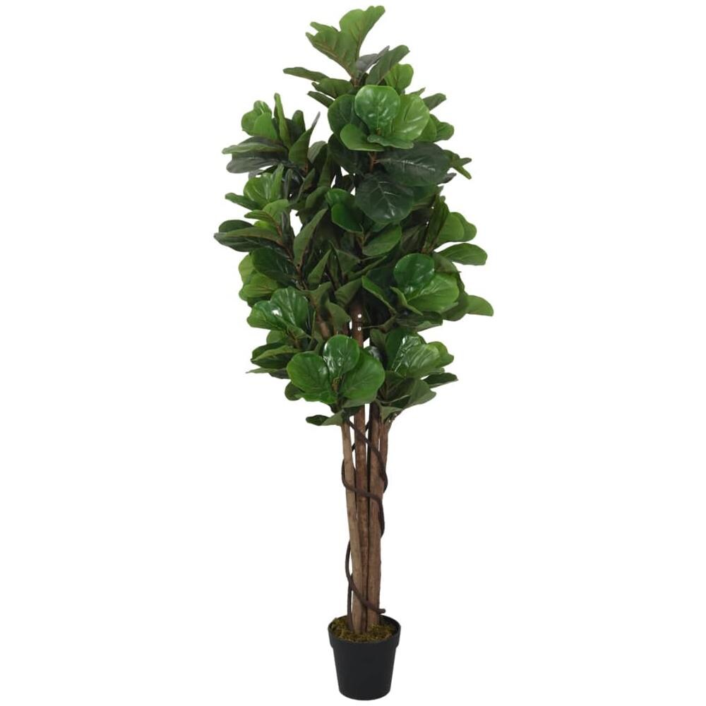 Albero Ficus Lyrata 180 Foglie 150 Cm Verde - Foto 2