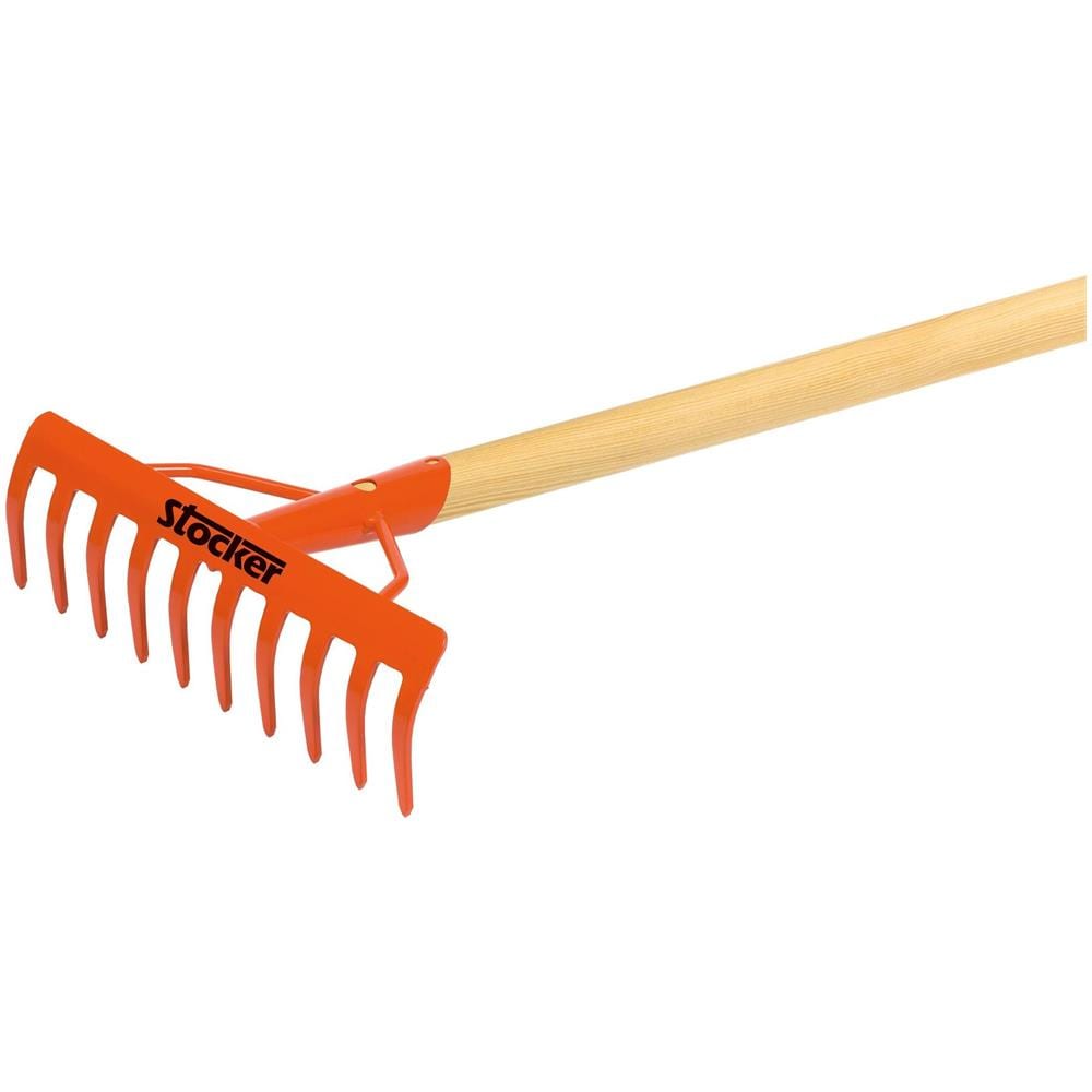 Rastrello A 10 Denti C / manico - Foto 1