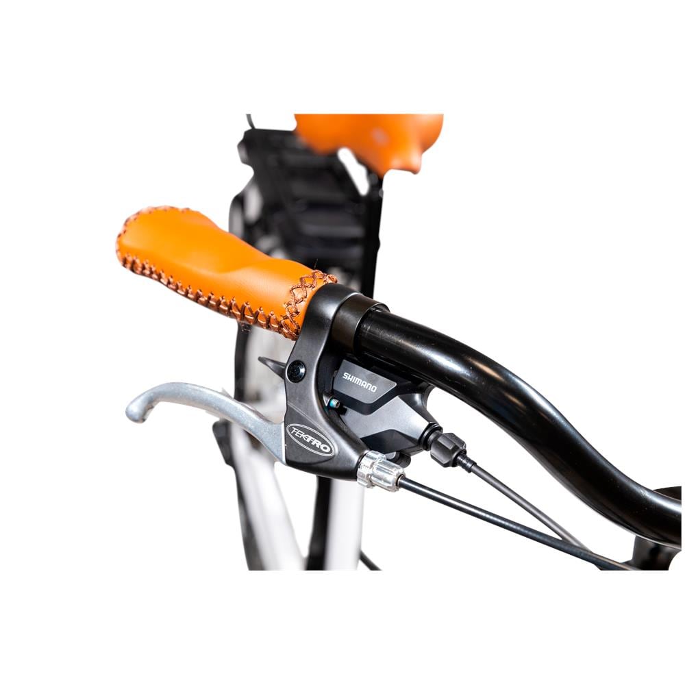 E-bike Vintage con telaio in alluminio 19", ruote 28", motore centrale 250W Ananda, batteria 13AH e cambio Shimano - Foto 2