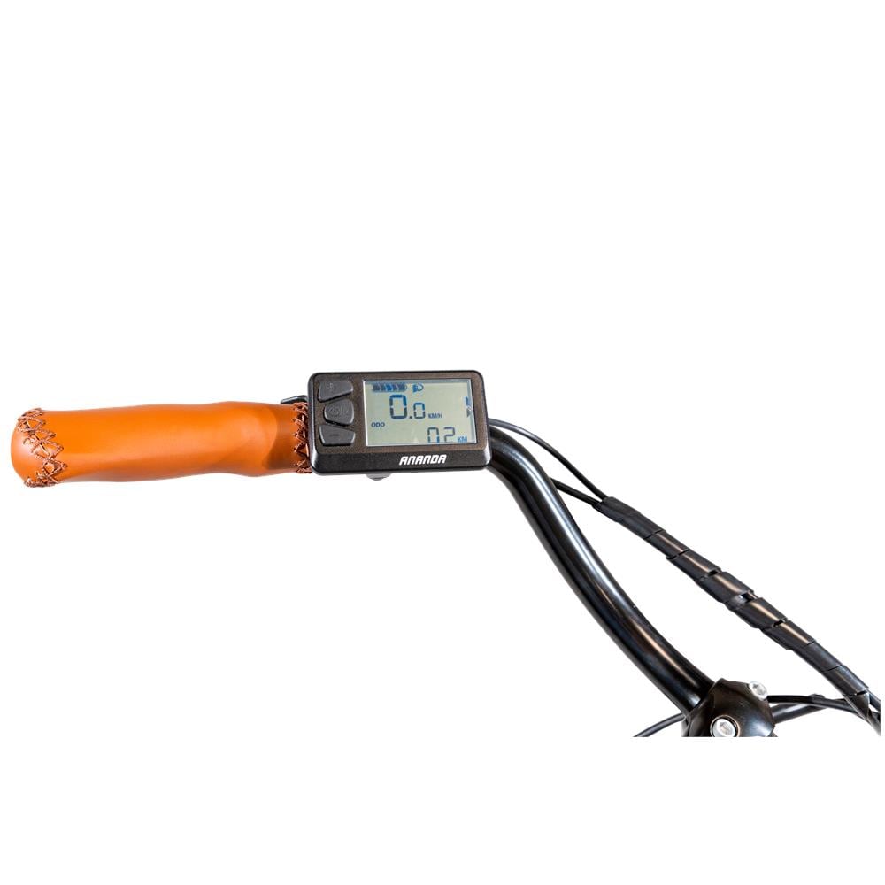 E-bike Vintage con telaio in alluminio 19", ruote 28", motore centrale 250W Ananda, batteria 13AH e cambio Shimano - Foto 10