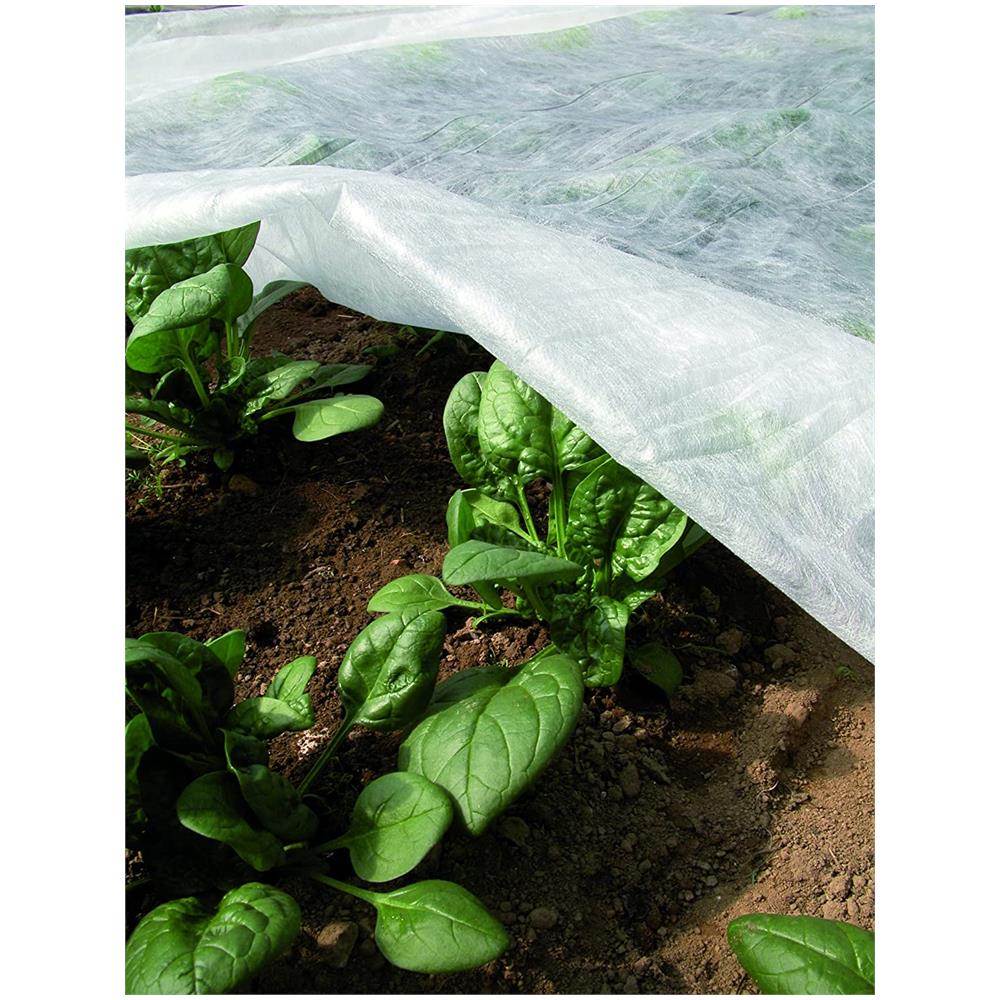 Ortoclima Tessuto Non Tessuto Per Orto E Giardino, Bianco, 2,40 X 10 M - Foto 3